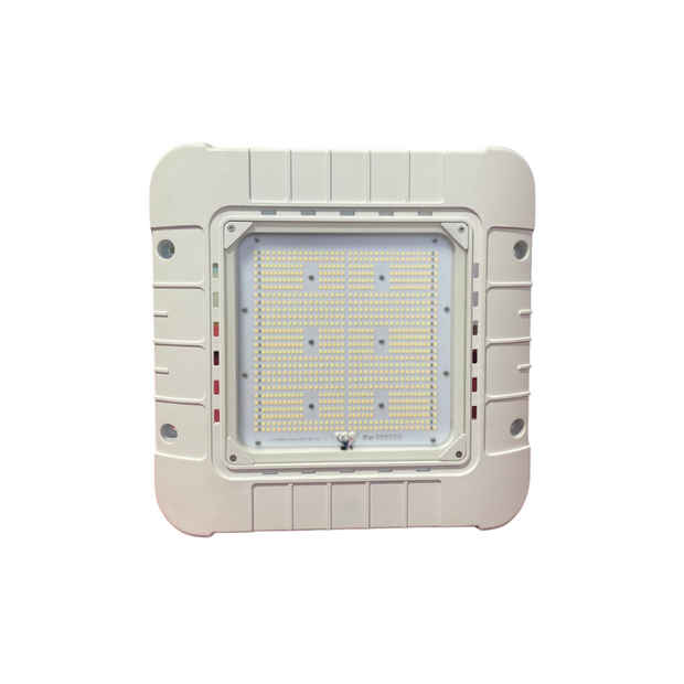 LED Canopy Light - 200W/250W/300W