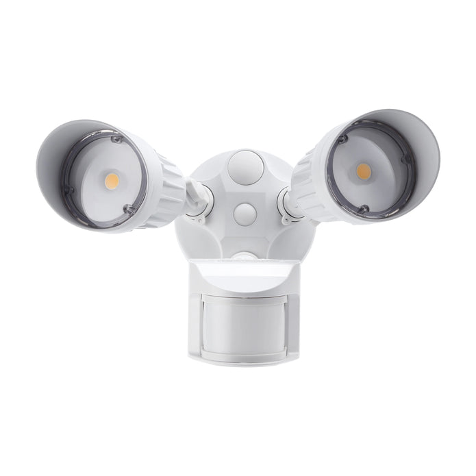 Round Security Light - 20W