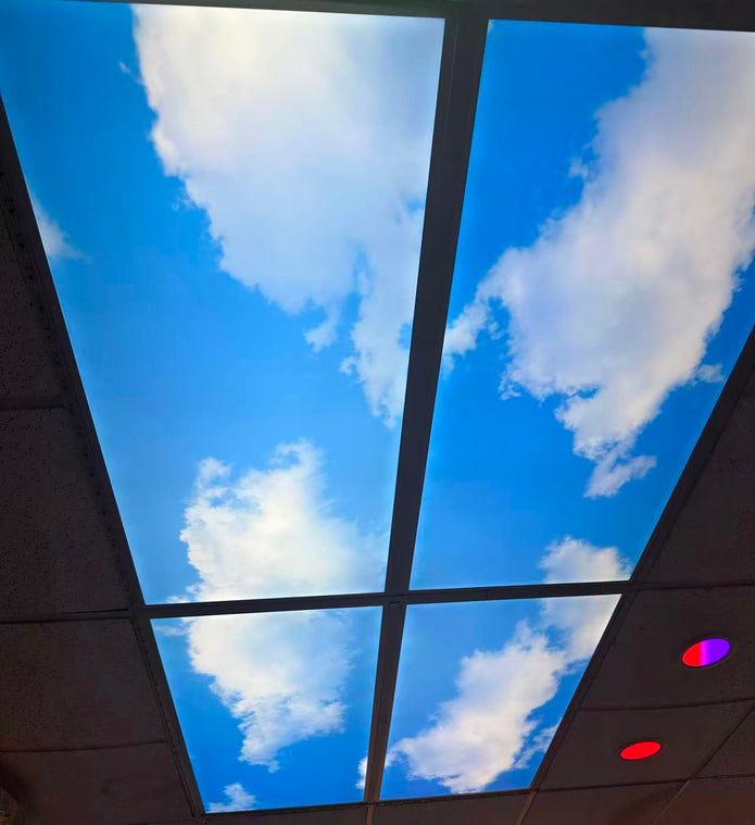 LED Flat Panel 2x4 Sky Pattern - 30W-72W/3000K-6500K