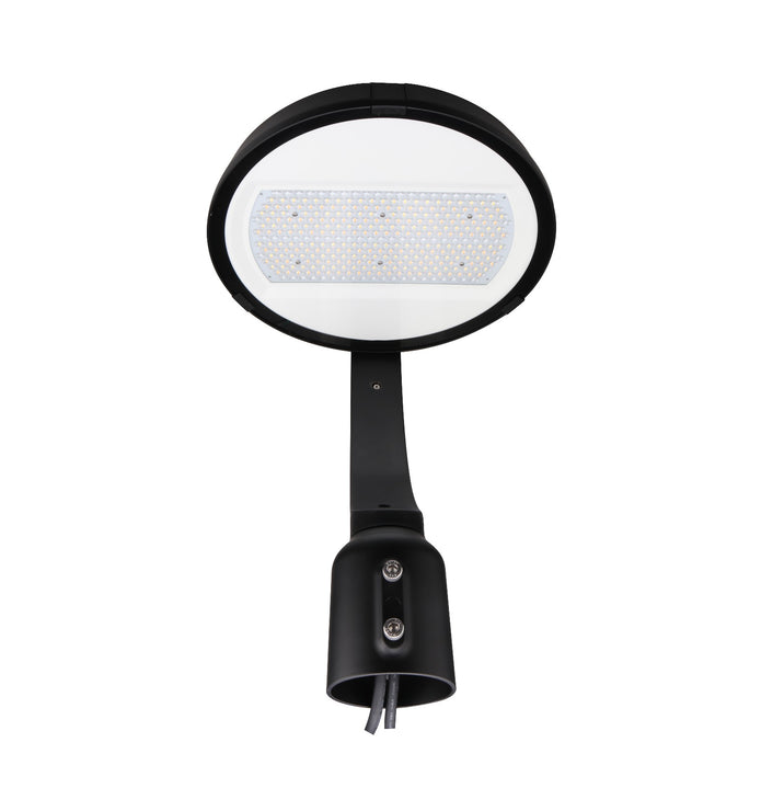 LED Garden Light - 150W