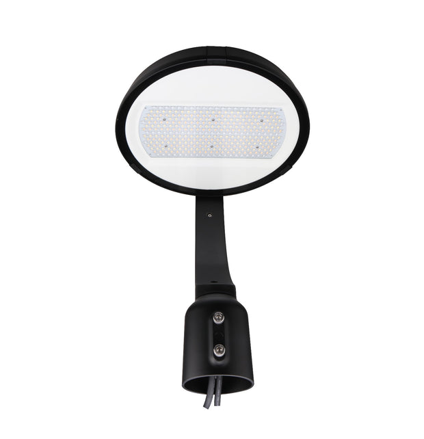 LED Garden Light - 150W