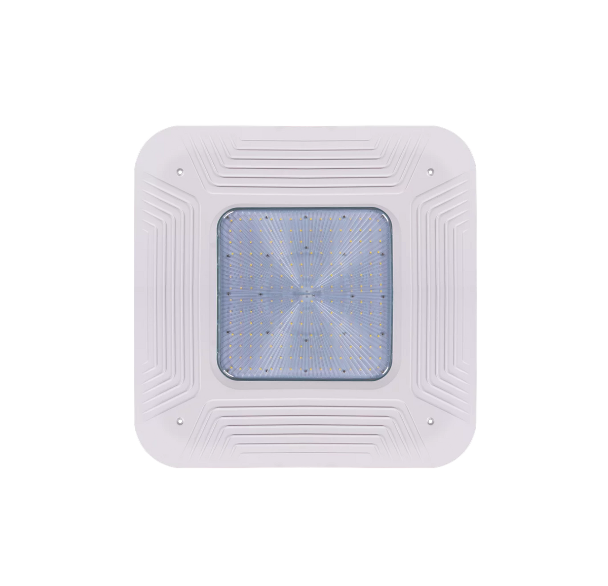 Canopy Light - 23