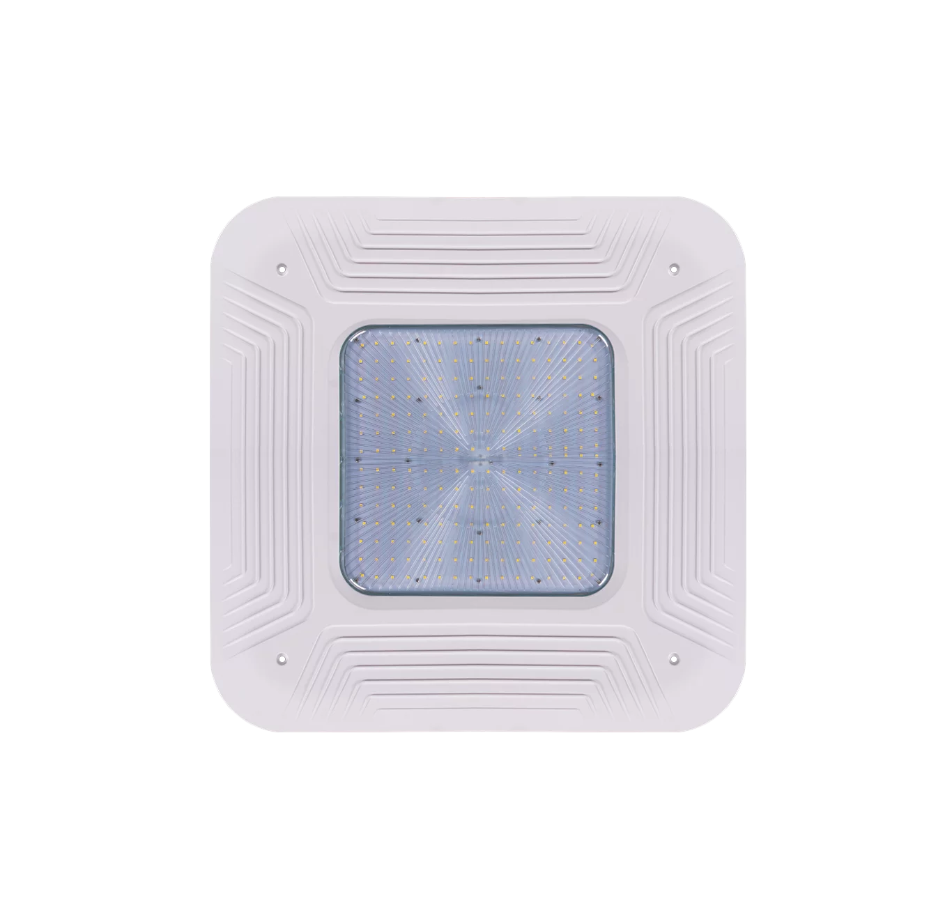 Canopy Light - 23