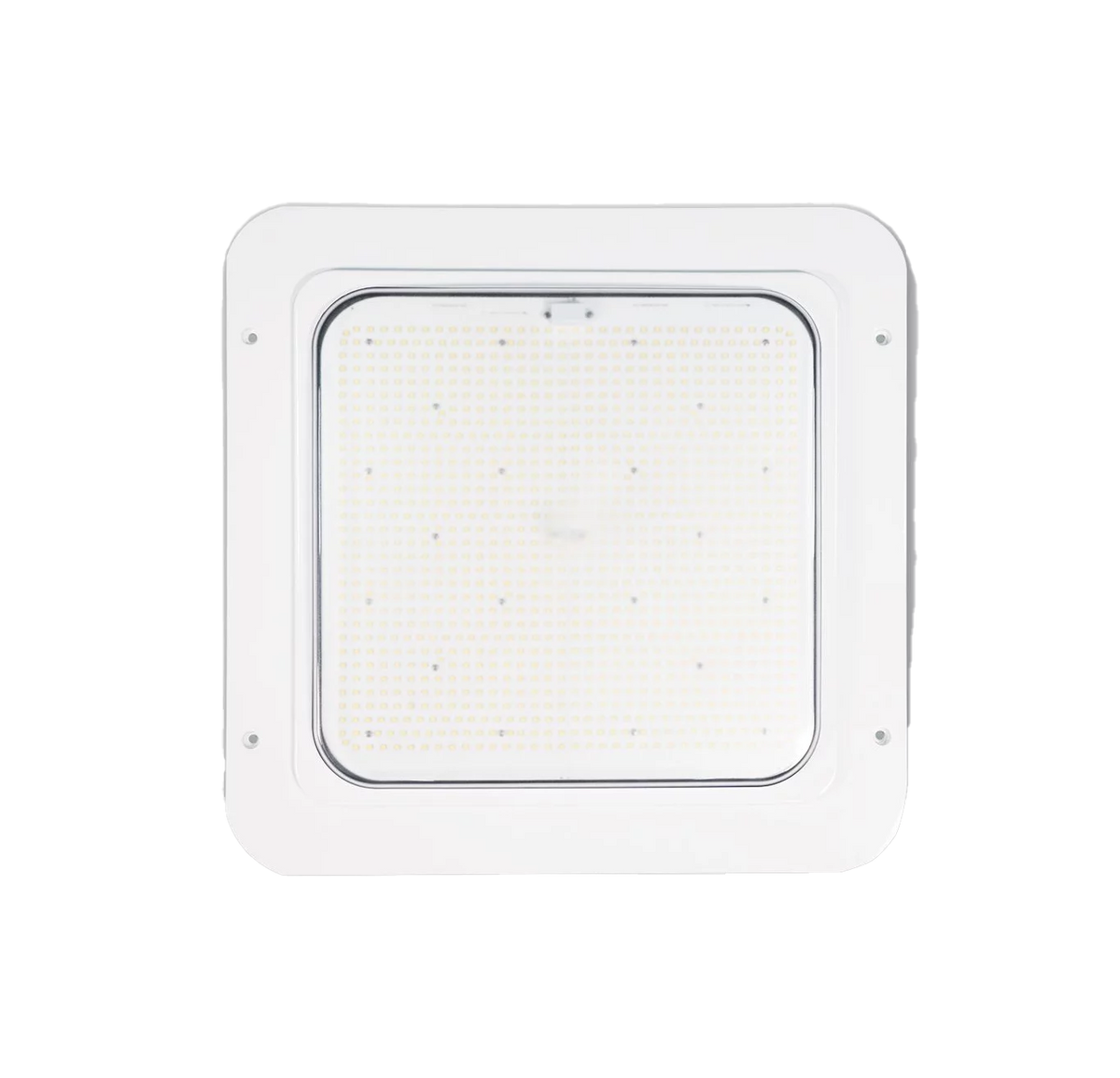 Canopy Light - 23
