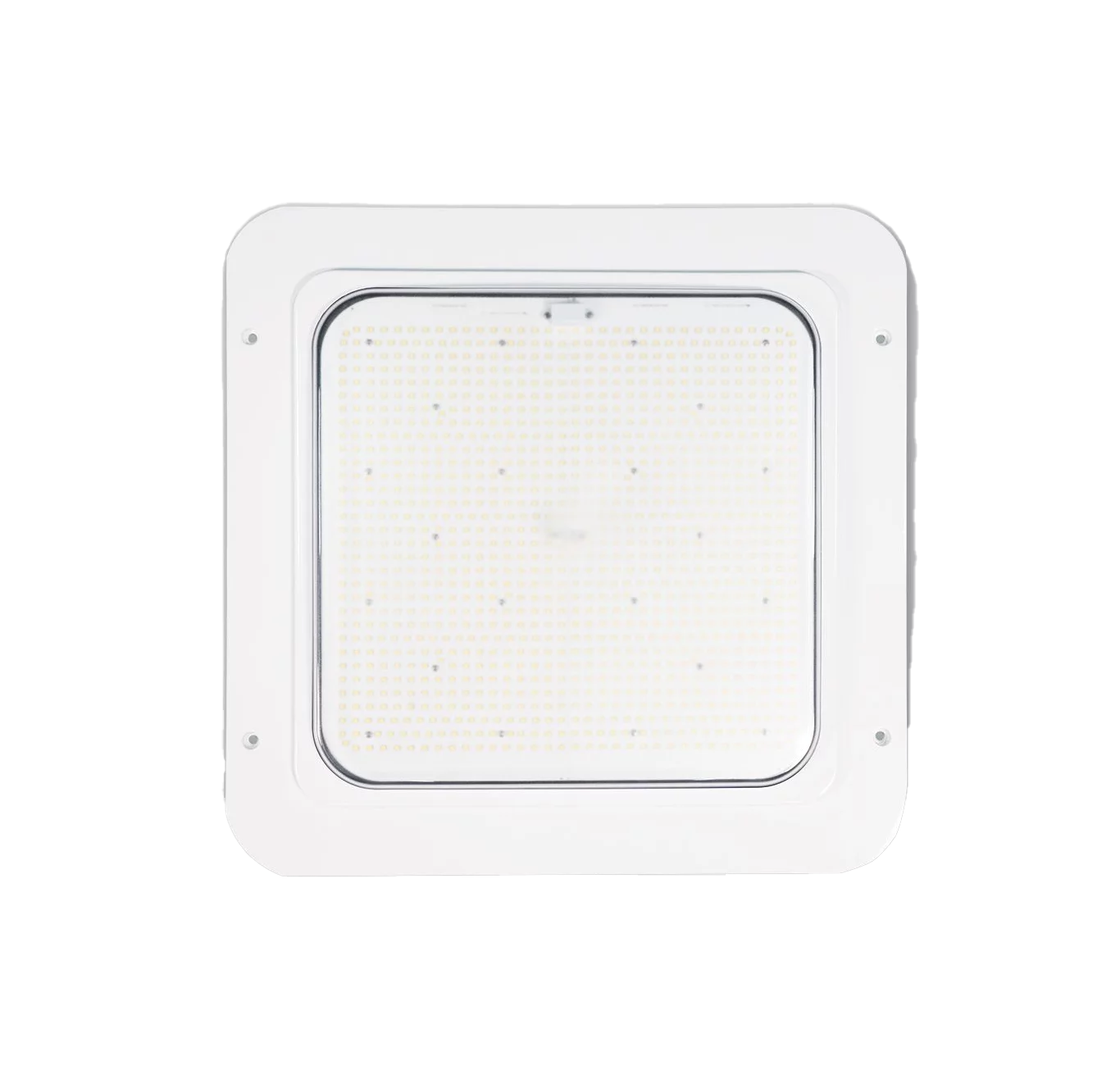 Canopy Light - 23