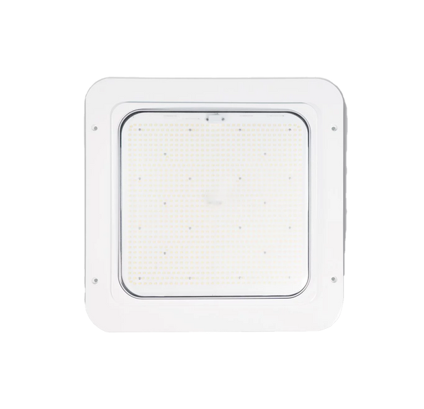 Canopy Light - 23"/240W