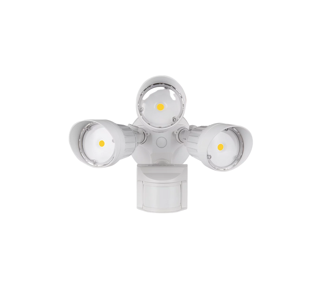 Round Security Light - 30W